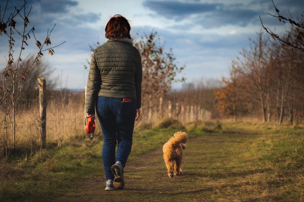 Balade avec chien