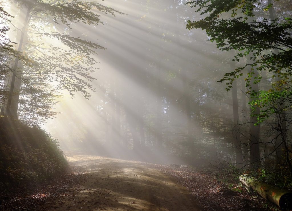 Quelles sont les meilleures attractions à Forêt-Noire en Allemagne ?