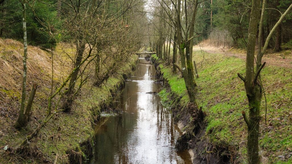 découvrez les techniques de drainage essentielles pour optimiser l'évacuation des eaux et prévenir l'humidité dans votre espace. apprenez comment le drainage contribue à la protection de vos fondations et au maintien d'un environnement sain.