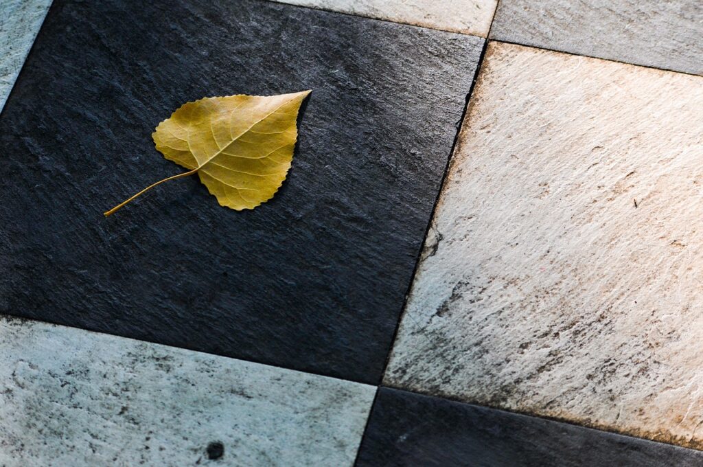 découvrez l'art du carrelage avec nos conseils et techniques pour transformer vos espaces. que vous soyez novice ou expert, apprenez à choisir les meilleurs matériaux, à maîtriser les styles et à réaliser des installations impeccables pour embellir votre maison.