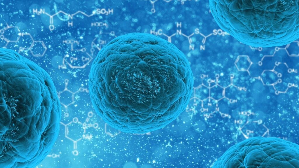 découvrez des stratégies efficaces pour la gestion des maladies chroniques, incluant des conseils pratiques, des ressources et des outils pour améliorer votre qualité de vie et mieux gérer vos symptômes au quotidien.