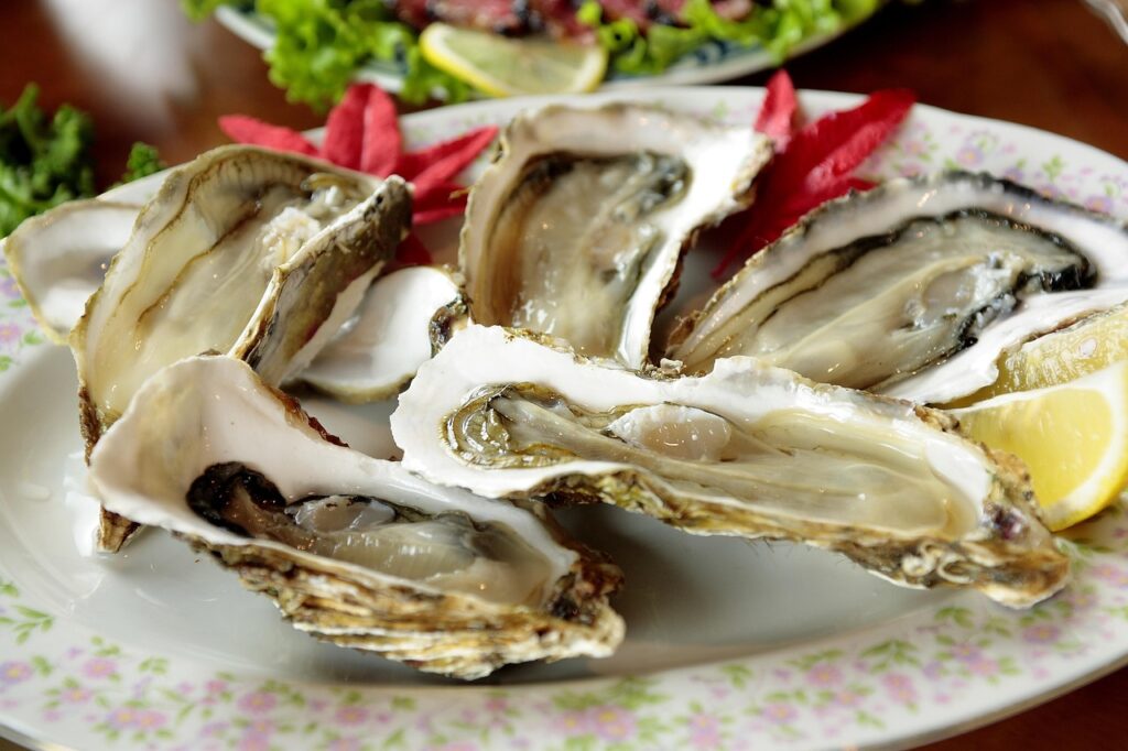découvrez la dégustation d'huîtres : une expérience gourmande pour savourer la fraîcheur et la finesse des huîtres directement de la mer.